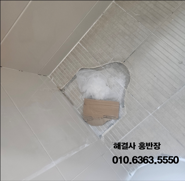 북구 · 상가 학원 대변이 분해되지 않는다는 오해, 북구 상가 학원 변기막힘